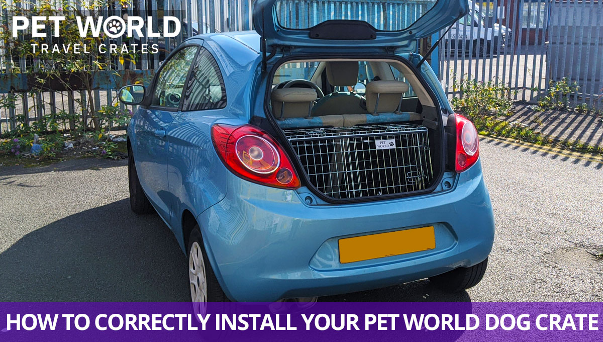 dog crate, install your dog crate, dog crate for hatchback car