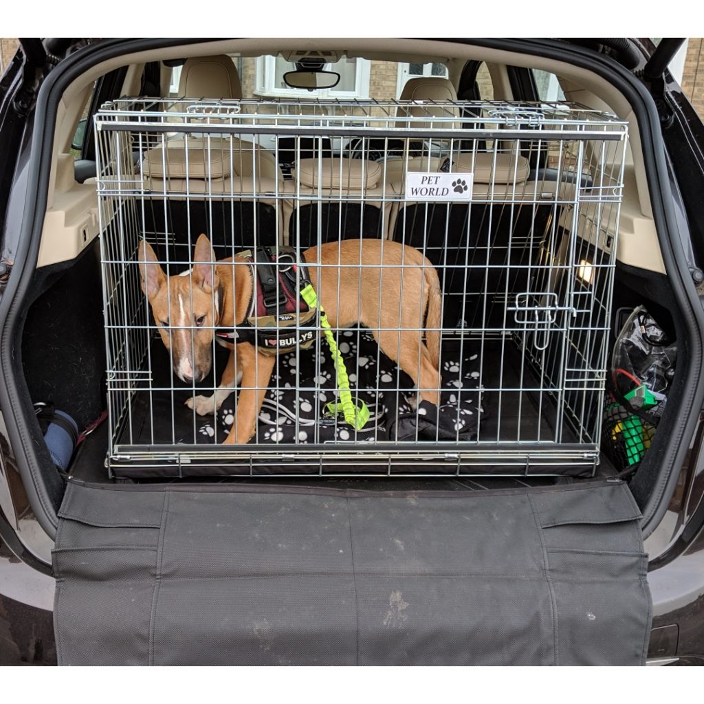 Pet World Car Dog Cage Crate Smart Car Cabriolet 19982007 Pet World