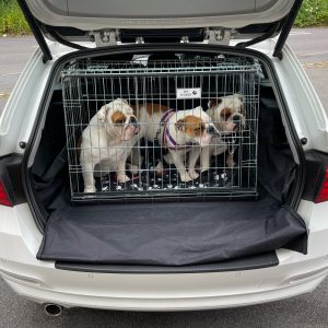 bmw 3 series touring dogs in car boot crate