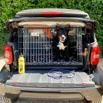 car dog crate