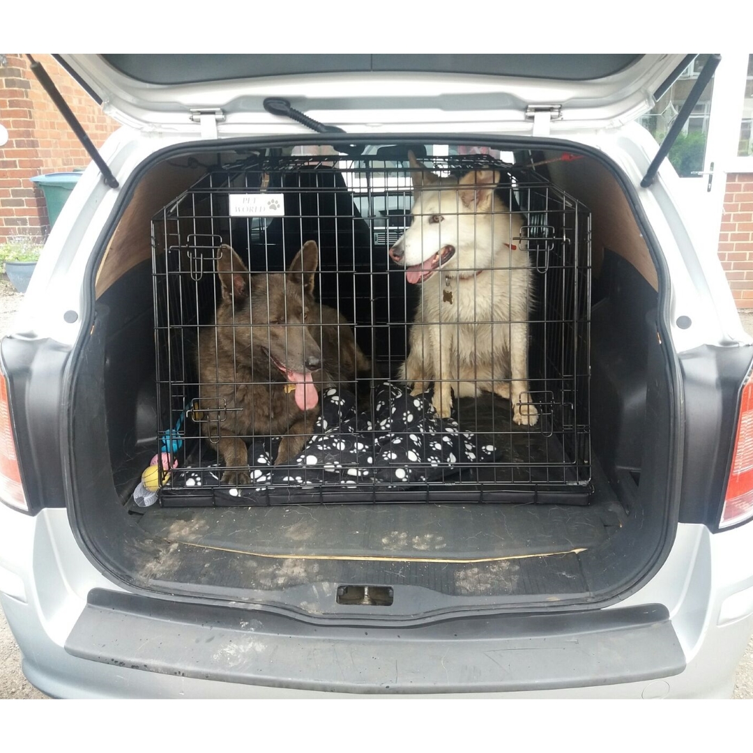 Pet World KIA SORENTO 2015 ONWARDS CAR DOG CAGE BOOT TRAVEL CRATE Double 