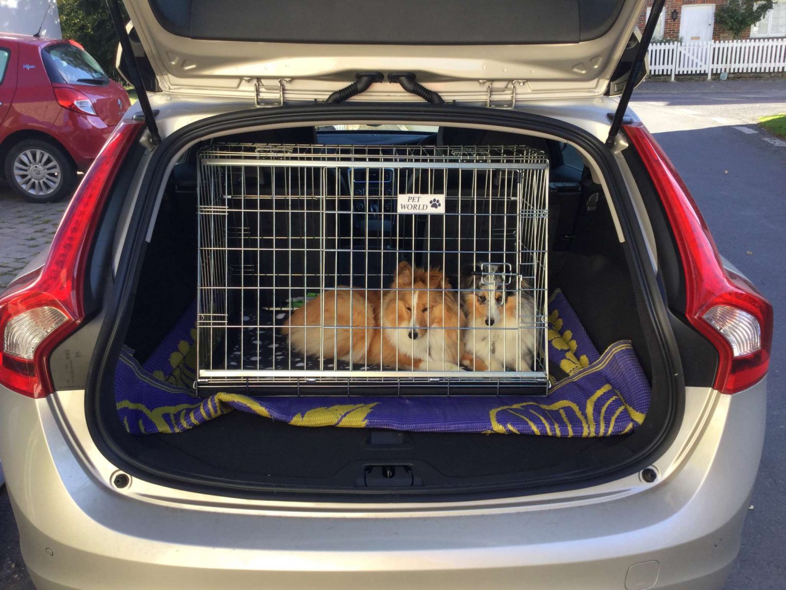 Volvo V60 Car Dog Crate Dog Travel Crate Pet World