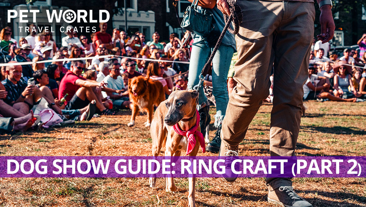 dog show, guide to dog showing, ring craft