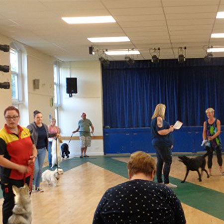 ring craft event, dog show training