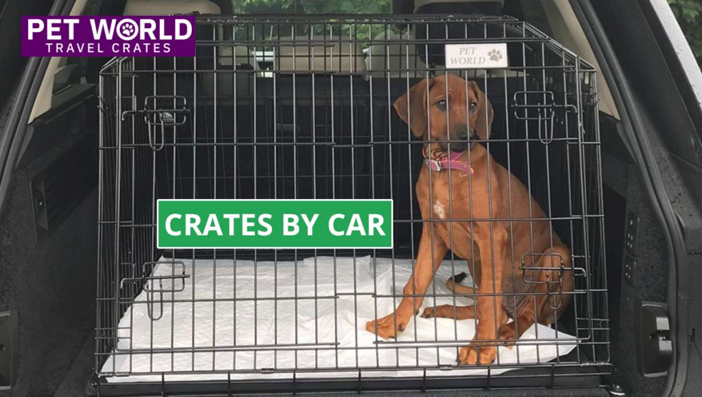 Dog, crates by car, car, travelling, pet travel, safe, safety