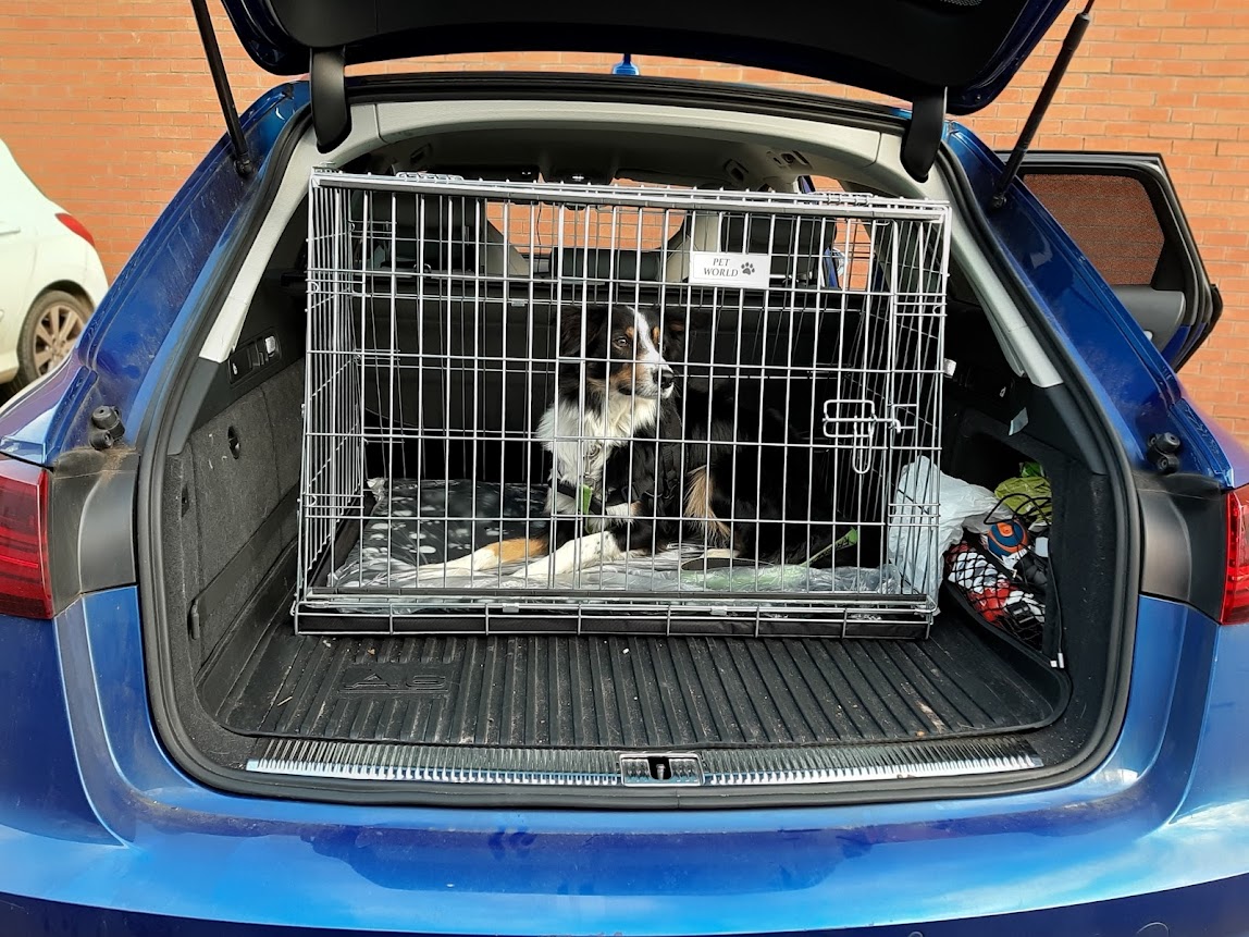 Pet World DACIA LOGAN MCV CAR DOG CAGE BOOT TRAVEL CRATE Double 