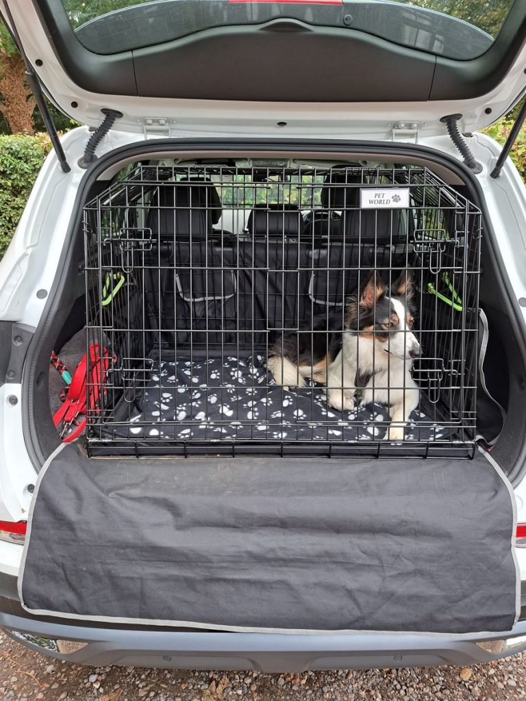 Pet World Renault Kadjar bagagliaio Dog Cage Puppy Travel Crate Pet sicurezza 