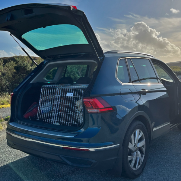 Volkswagen Tiguan Life 2022 Car Dog Crate Dog Travel Crate Pet World