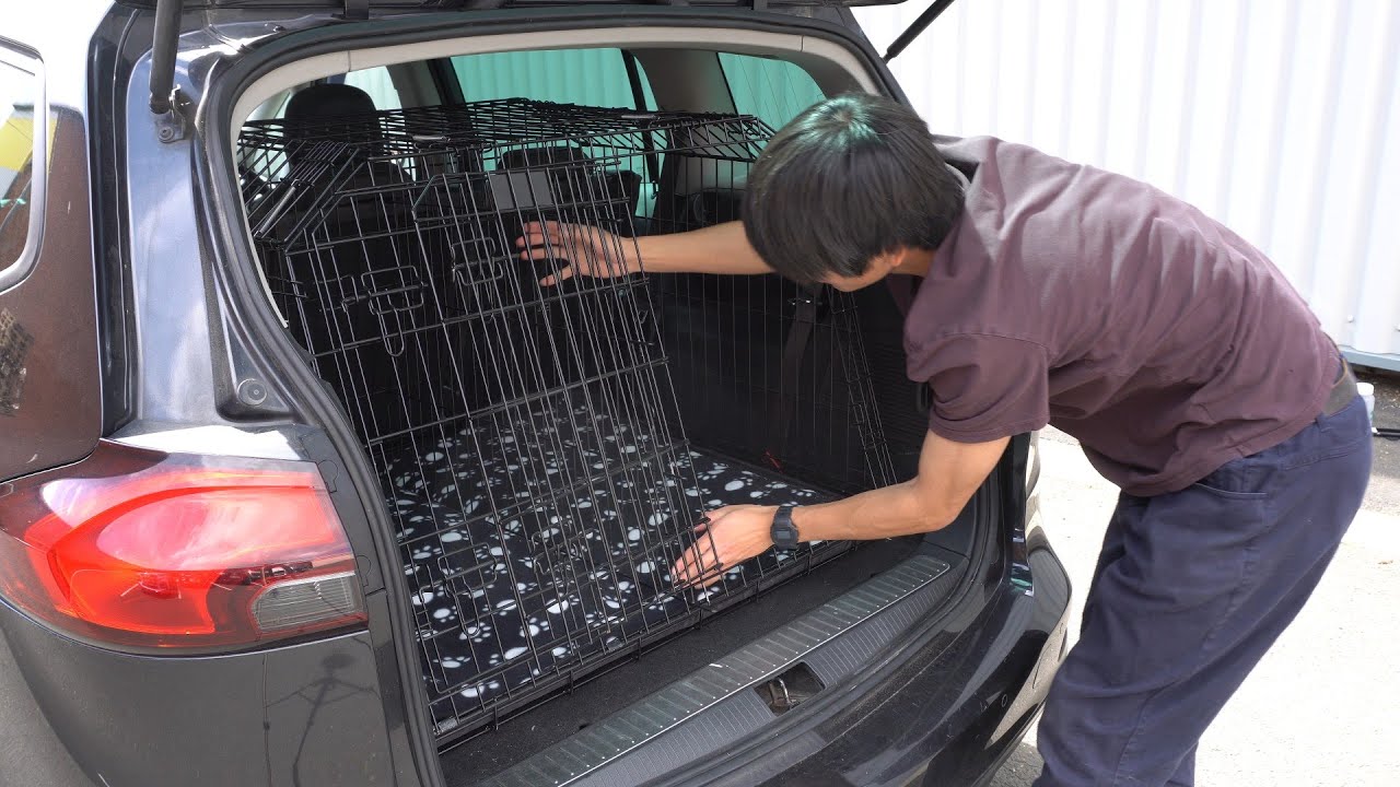 Headrest Dog Guard To Fit Toyota Avensis Mk 2 Heavy Duty Wire - View #6