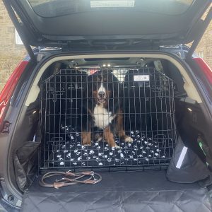 Volvo XC40 Car Dog Crate Hatchback - 36" (Large)